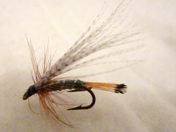 D 25 Pheasent tail