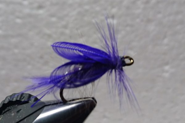 D 37 Blowfly lila