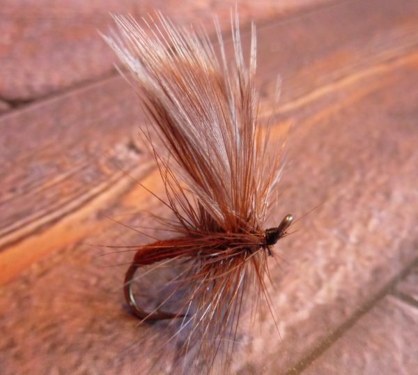 T 23 Brown Quill