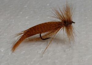 T 57 Nattslända variant orange
